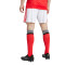 Short adidas Domicile SLB Benfica 2025-2026
