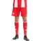 Short adidas Domicile FC Bayern 2025-2026