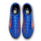 Chaussure de football Puma Ultra 6 Pro FG/AG