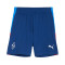 Short Puma Neymar Jr Playmaker Training Short Jr