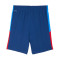 Short Puma Neymar Jr Playmaker Training Short Jr