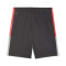 Short Puma Individualliga Training Shorts 2 (Open pockets)