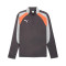 Sweat-shirt Puma Individualliga 1/4 Zip Top