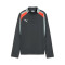 Sweat-shirt Puma Individualliga 1/4 Zip Top Niño