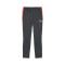 Pantalon Puma Individualliga Training