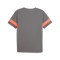 T-Shirt Puma Individualrise Jersey
