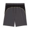 Short Puma M Run Velocity 7" Short
