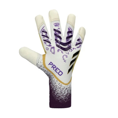 Gants Predator Pro Hybrid
