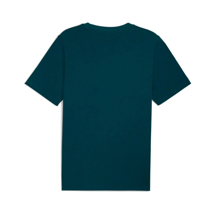 camiseta-puma-sport-graphic-green-terrain-1
