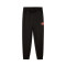 Pantalon Puma Enfant Sports Graphic