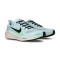 Chaussures Nike Pegasus 41