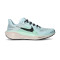 Chaussures Nike Pegasus 41