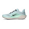 Chaussures Nike Pegasus 41