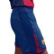 Short Nike Domicile Fc Barcelona Authentic 2025-2026