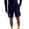 Short Nike Fc Barcelona Training 2025-2026