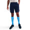 Short Nike Tottenham Hotspur FC Training 2025-2026