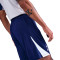 Short Nike Tottenham Hotspur FC Training 2025-2026