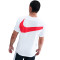 T-Shirt Nike PSG Fanswear 2025-2026