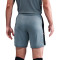 Short Nike Academy 25