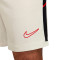 Short Nike Academy 25