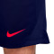 Short Nike Strike