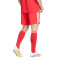 Short adidas Troisième Kit Fc Bayern 2025-2026