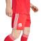 Short adidas Troisième Kit Fc Bayern 2025-2026