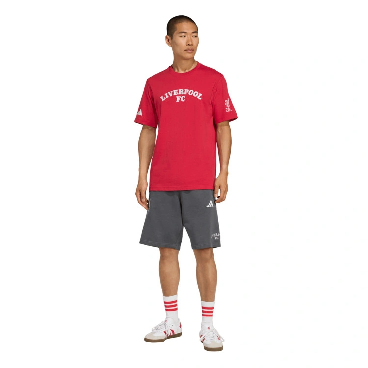 pantalon-corto-adidas-liverpool-fc-fanswear-2025-2026-dgh-solid-grey-5