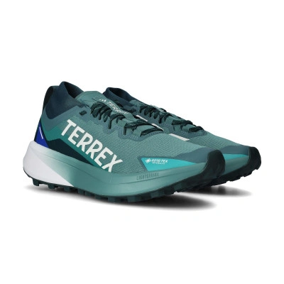 Chaussures Terrex Agravic Gore-Tex