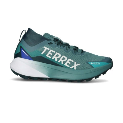 Chaussures Terrex Agravic Gore-Tex