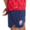 Maillot New Balance Domicile Lille 2025-2026