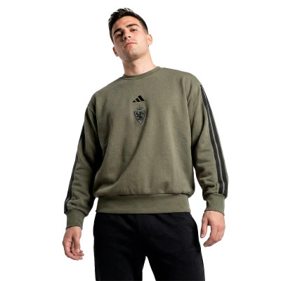 Sweat-shirt Real Zaragoza Sportswear 2025-2026