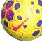 Ballon Nike Control 2025-2026