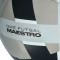 Ballon Nike Futsal Maestro 2025-2026