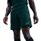 Short Nike Academy 25 Dri-FIT Br
