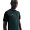 T-Shirt Nike Academy 25 Dri-FIT