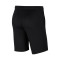 Shorts Nike Park 20 Niño C.D.Acero