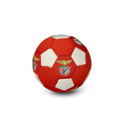 Ballon Benfica 2025-2026