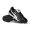 Chaussure de football Puma King Top Turf