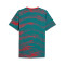 T-Shirt Puma Fanswear Portugal Coupe du Monde 2026