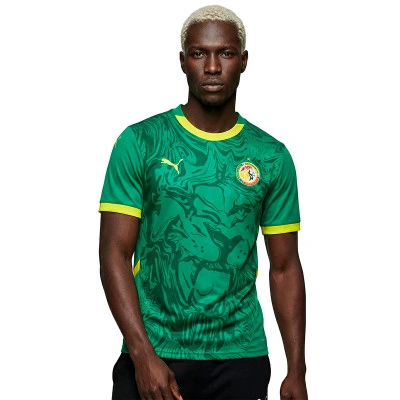 Maillot Sénégal Extérieur Coupe du Monde 2026