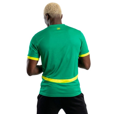 Maillot Sénégal Extérieur Coupe du Monde 2026
