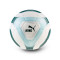 Ballon Puma Manchester City