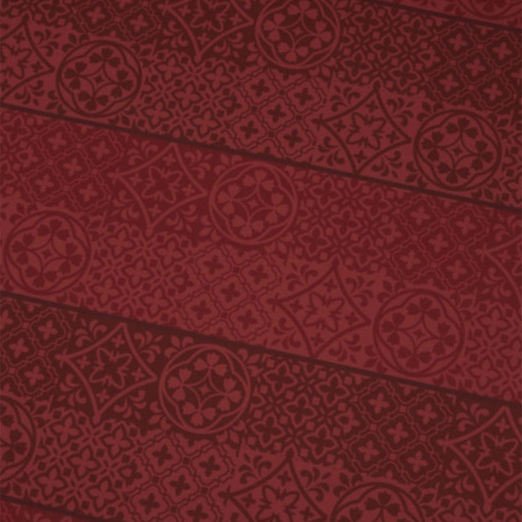 camiseta-macron-cadiz-cf-segunda-equipacion-2025-2026-nino-bordeaux-5