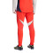 Pantalon adidas Fc Bayern Training 2025-2026