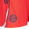 Short adidas FC Bayern Training 2025-2026
