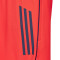 Short adidas FC Bayern Training 2025-2026