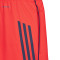 Short adidas FC Bayern Training 2025-2026