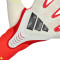Gants adidas Predator Pro Hybrid