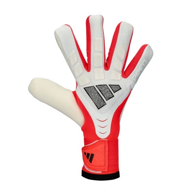 Gants Predator Competition